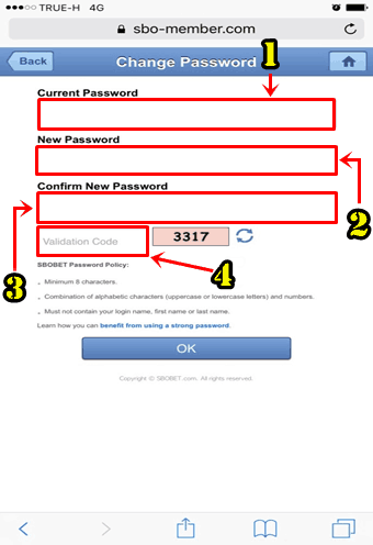 Change to Password Sbo